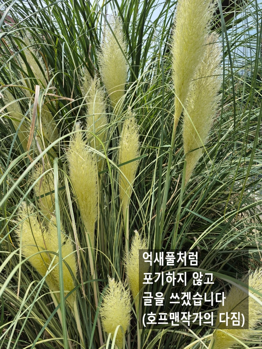 SE-25645b4d-8333-11f0-b00e-43e3e7273bf4.jpg?type=w966