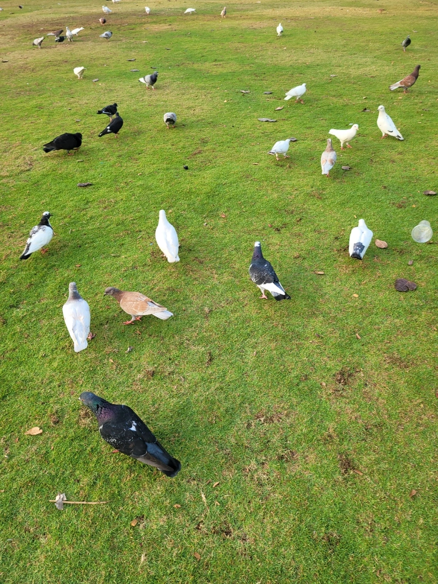 20240317%EF%BC%BF063125.jpg?type=w966