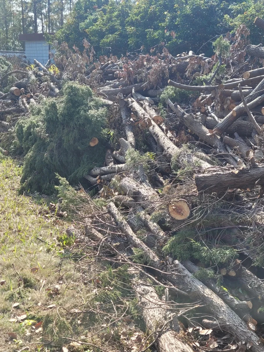 900%EF%BC%BF20241127%EF%BC%BF115503.jpg?type=w966