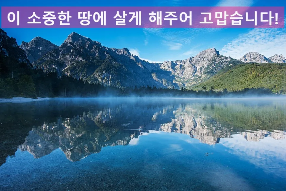 SE-7fcfb688-891c-4a62-809f-d57b07d4fcdd.jpg?type=w966