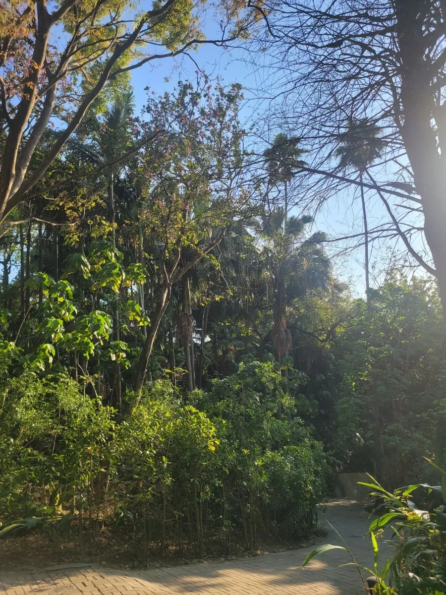 900%EF%BC%BF20250323%EF%BC%BF074045.jpg?type=w966