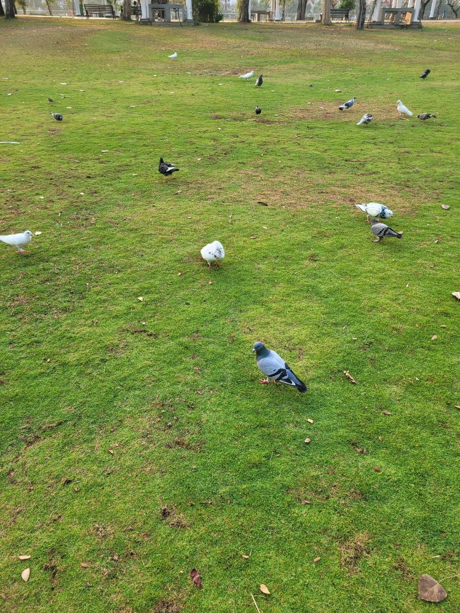 20240317%EF%BC%BF063114.jpg?type=w966