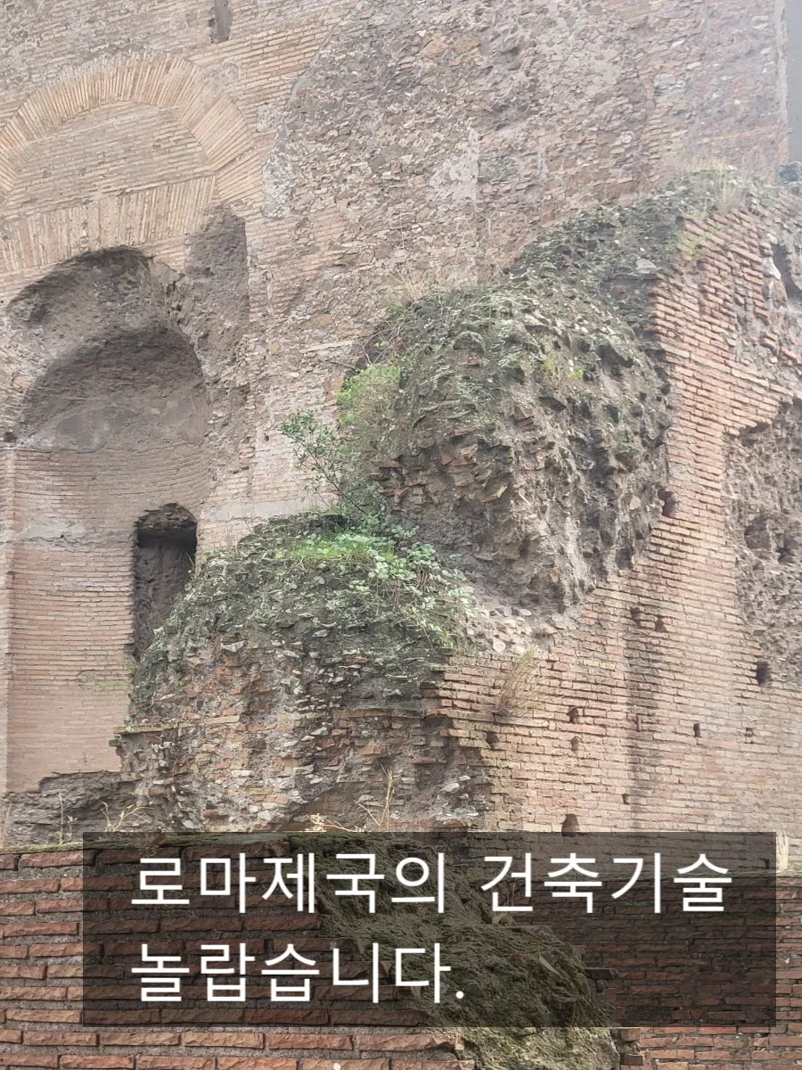 SE-313eeffe-9272-11ef-83ff-2ff7ed147eed.jpg?type=w966