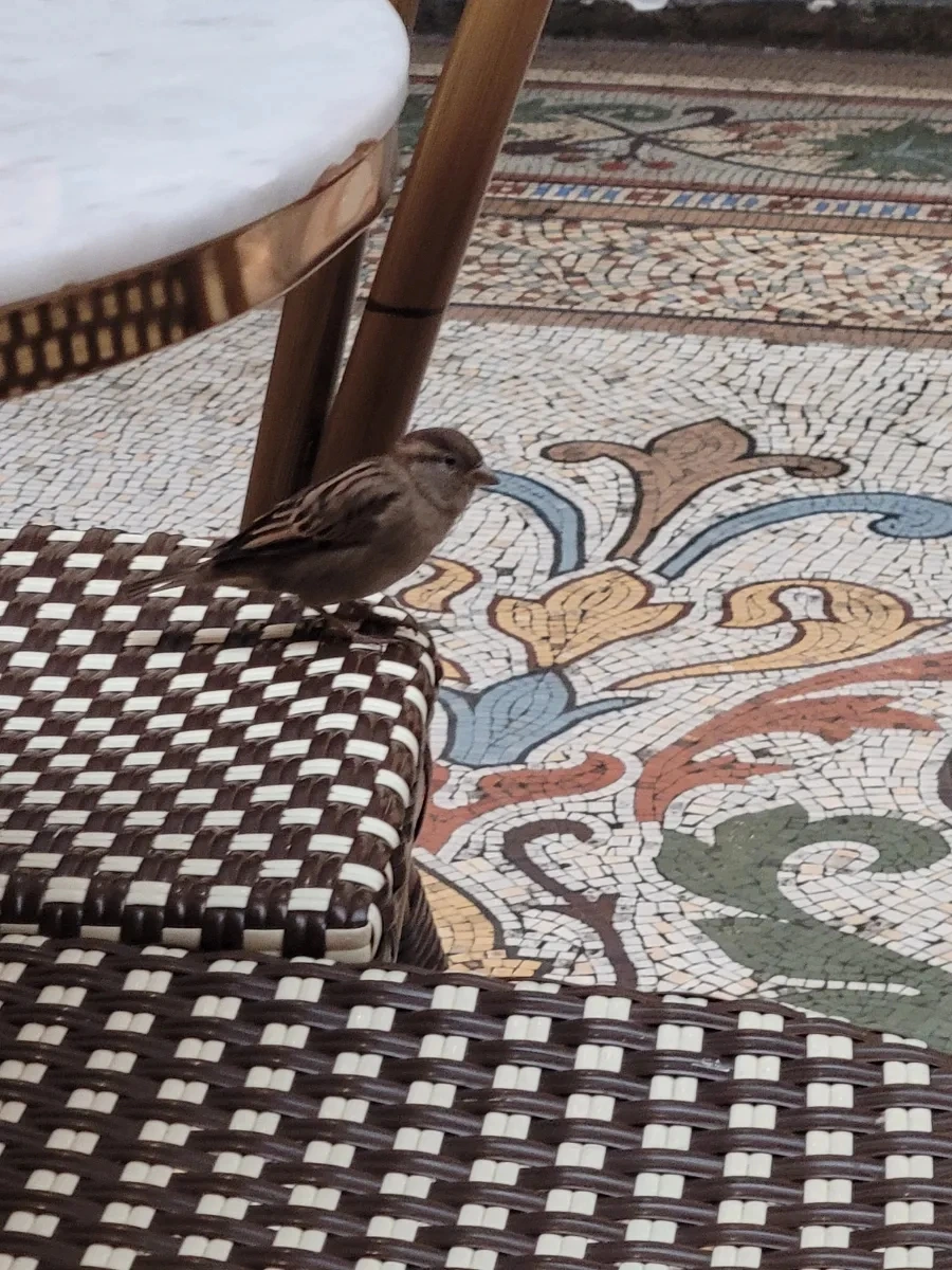 20240429%EF%BC%BF090358.jpg?type=w966