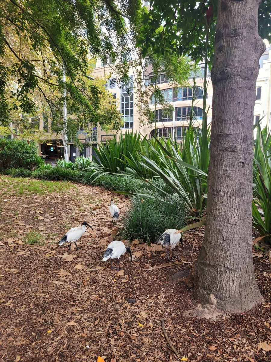 20240430%EF%BC%BF082849.jpg?type=w966