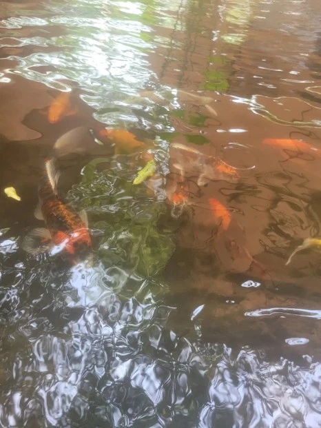 20240101%EF%BC%BF143544.jpg?type=w466