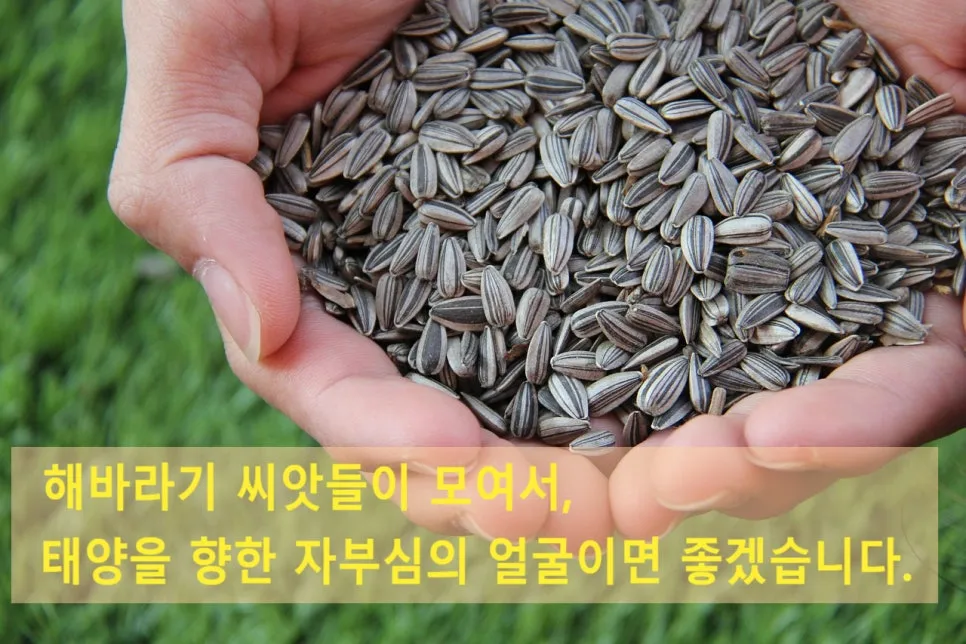 SE-948eeae9-753c-4cef-bea8-91bab91493ee.jpg?type=w966