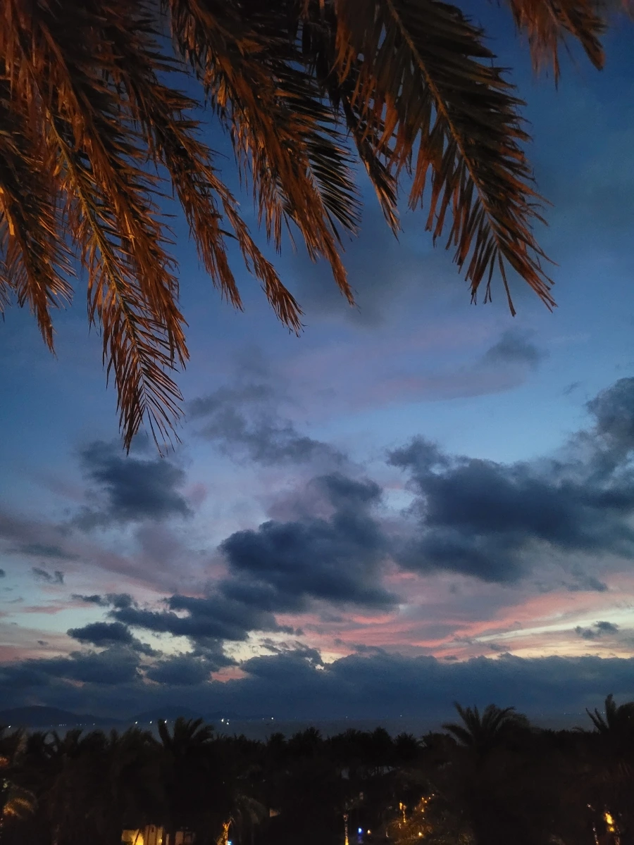 900%EF%BC%BF20250430%EF%BC%BF045643.jpg?type=w966