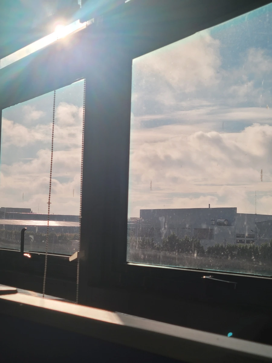 20231017%EF%BC%BF070034.jpg?type=w966