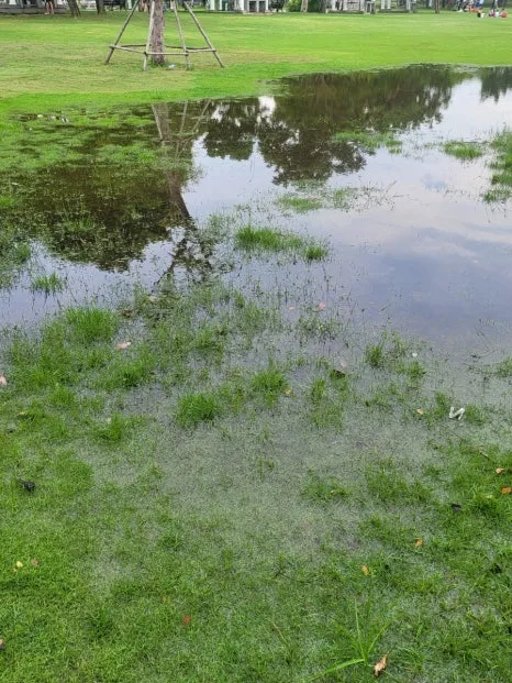 20240804%EF%BC%BF171654.jpg?type=w466