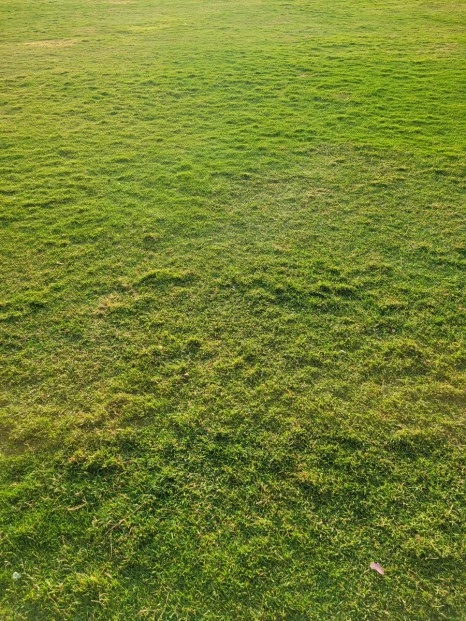 20240303%EF%BC%BF070459.jpg?type=w466