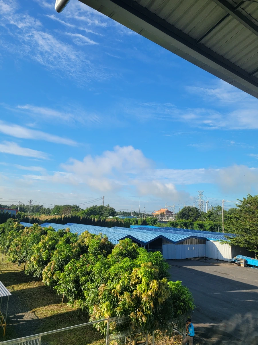 20231017%EF%BC%BF065216.jpg?type=w966