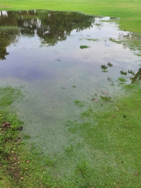 20240804%EF%BC%BF171632.jpg?type=w466