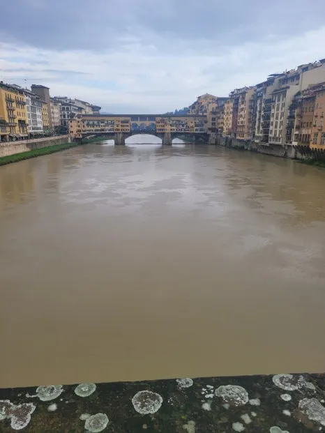 20241017%EF%BC%BF154106.jpg?type=w466