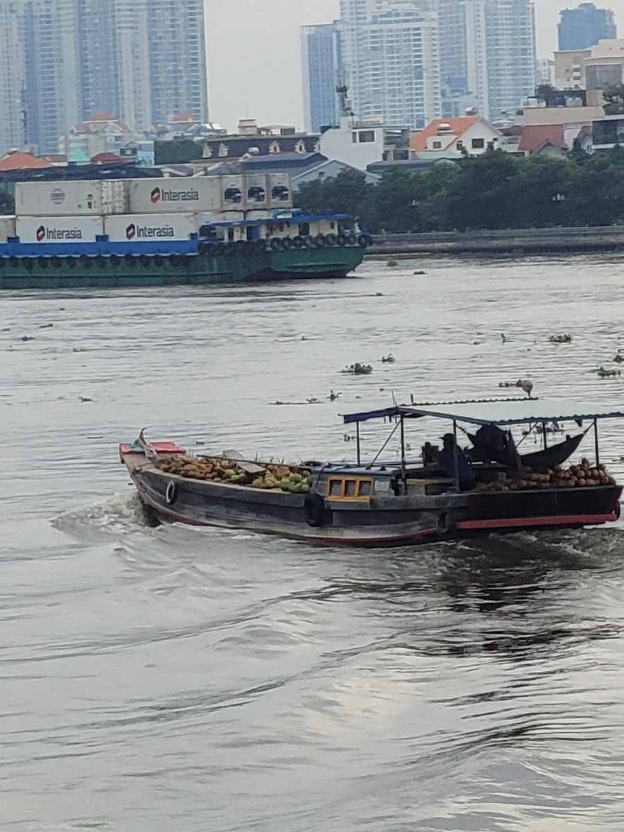 900%EF%BC%BF20240811%EF%BC%BF061100.jpg?type=w966