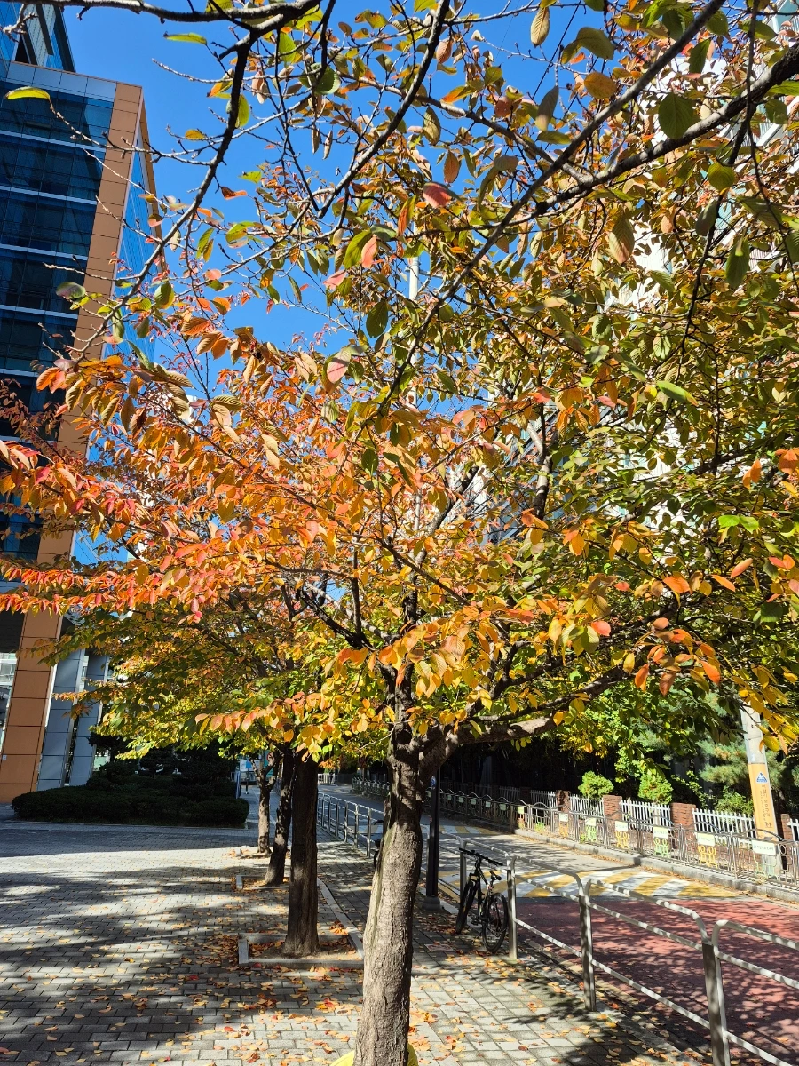 900%EF%BC%BF20251102%EF%BC%BF104631.jpg?type=w966