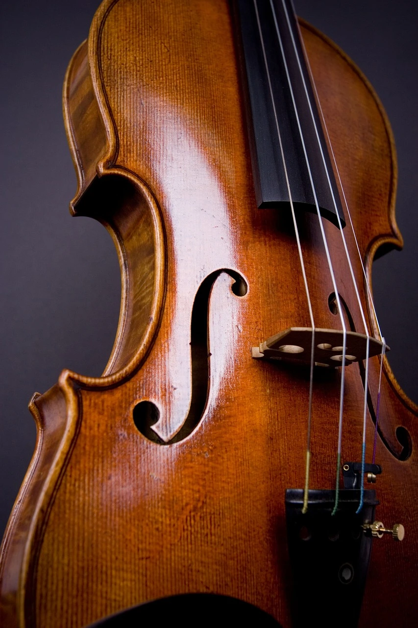 violin-3245322_1280.jpg?type=w966