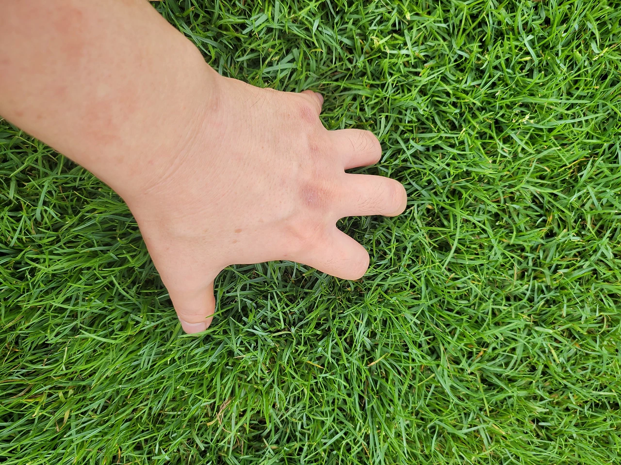 -3OmjJ5mI4ZLZvz8hNM9-UE-nWU