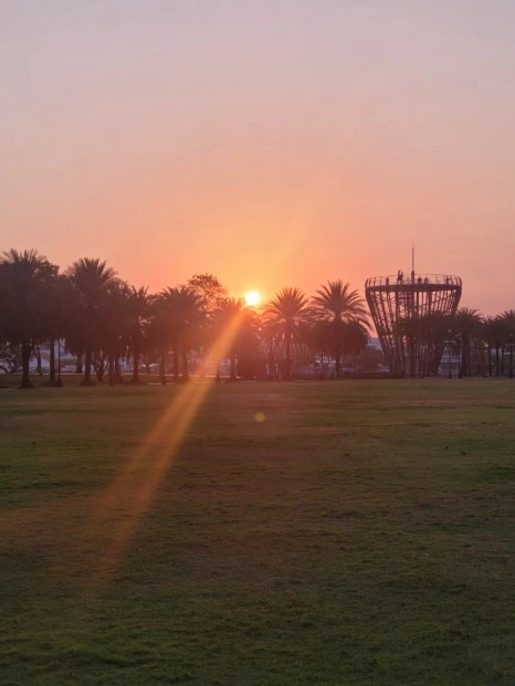 20240303%EF%BC%BF062405.jpg?type=w466