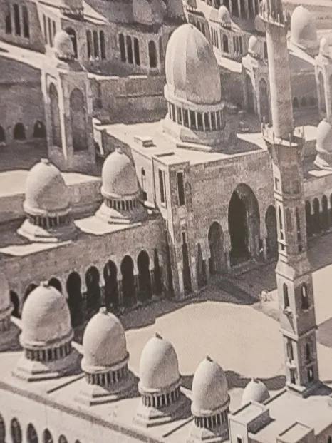 20241015%EF%BC%BF120505.jpg?type=w466