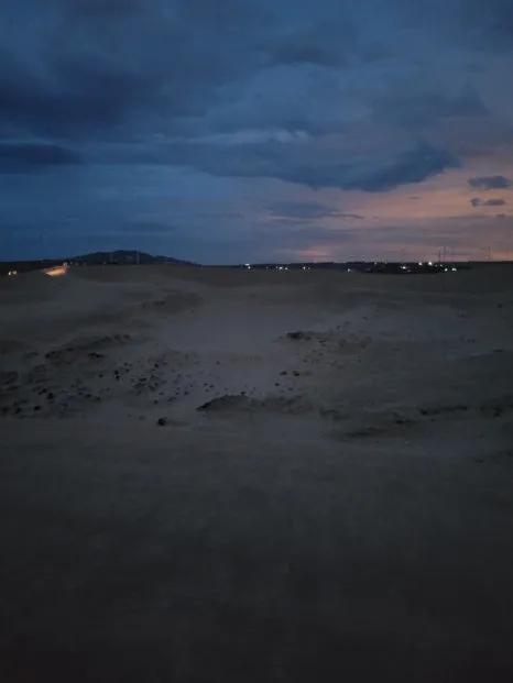 20240915%EF%BC%BF051041.jpg?type=w466