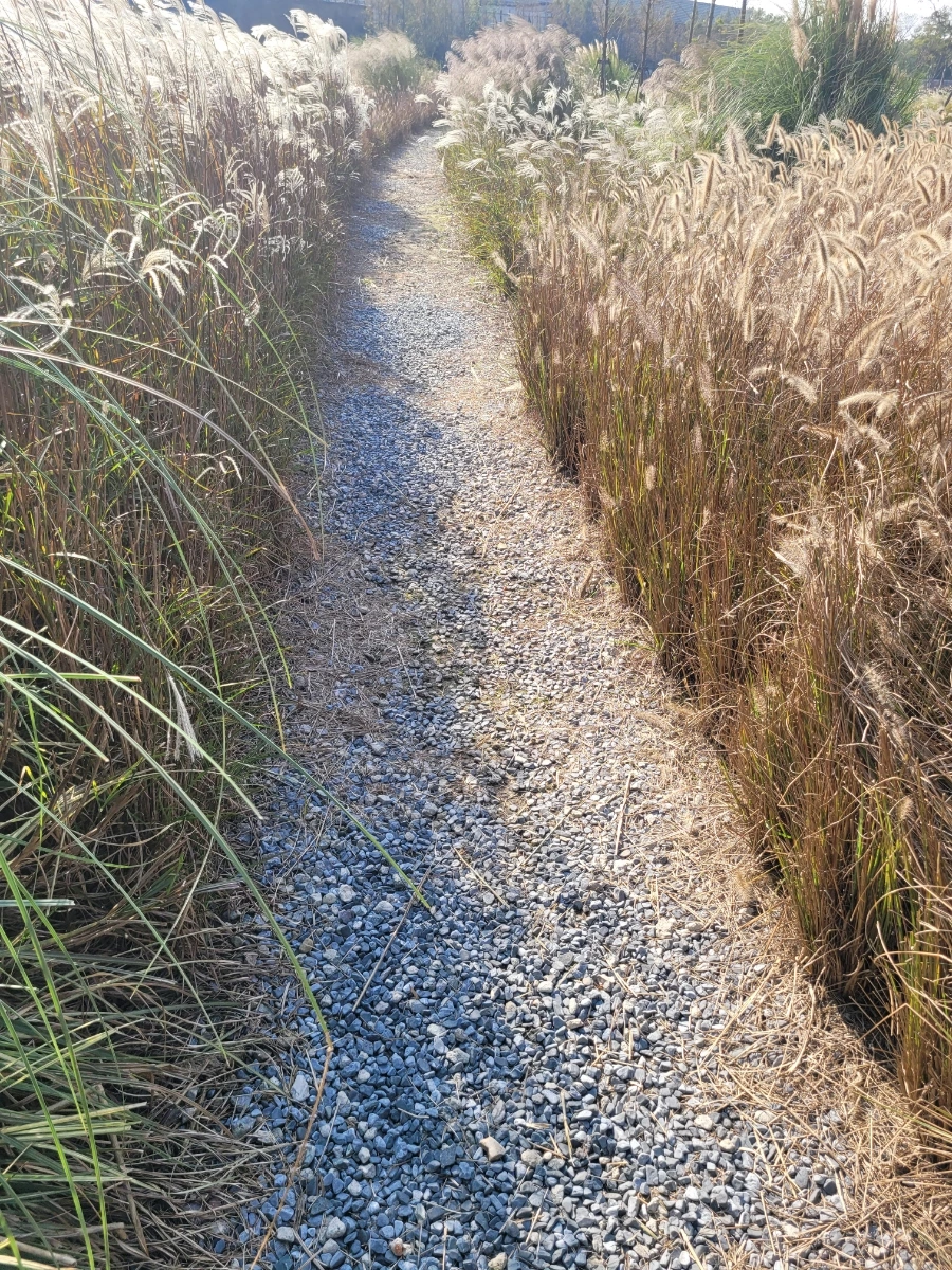 900%EF%BC%BF20241126%EF%BC%BF125345.jpg?type=w966