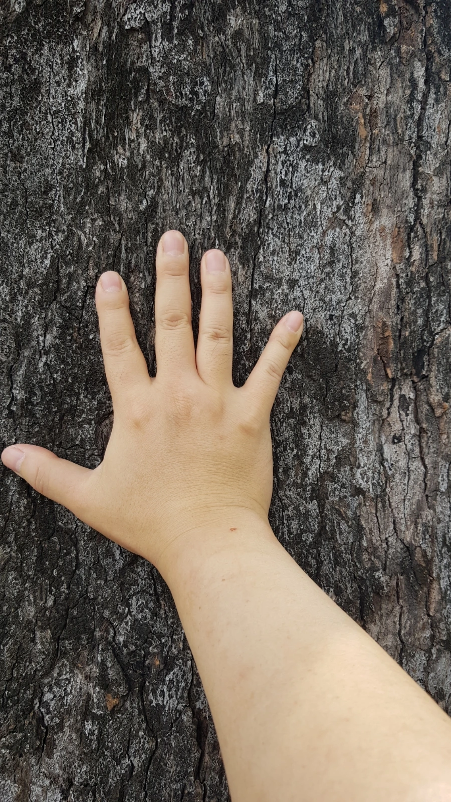 20230219%EF%BC%BF104157.jpg?type=w966