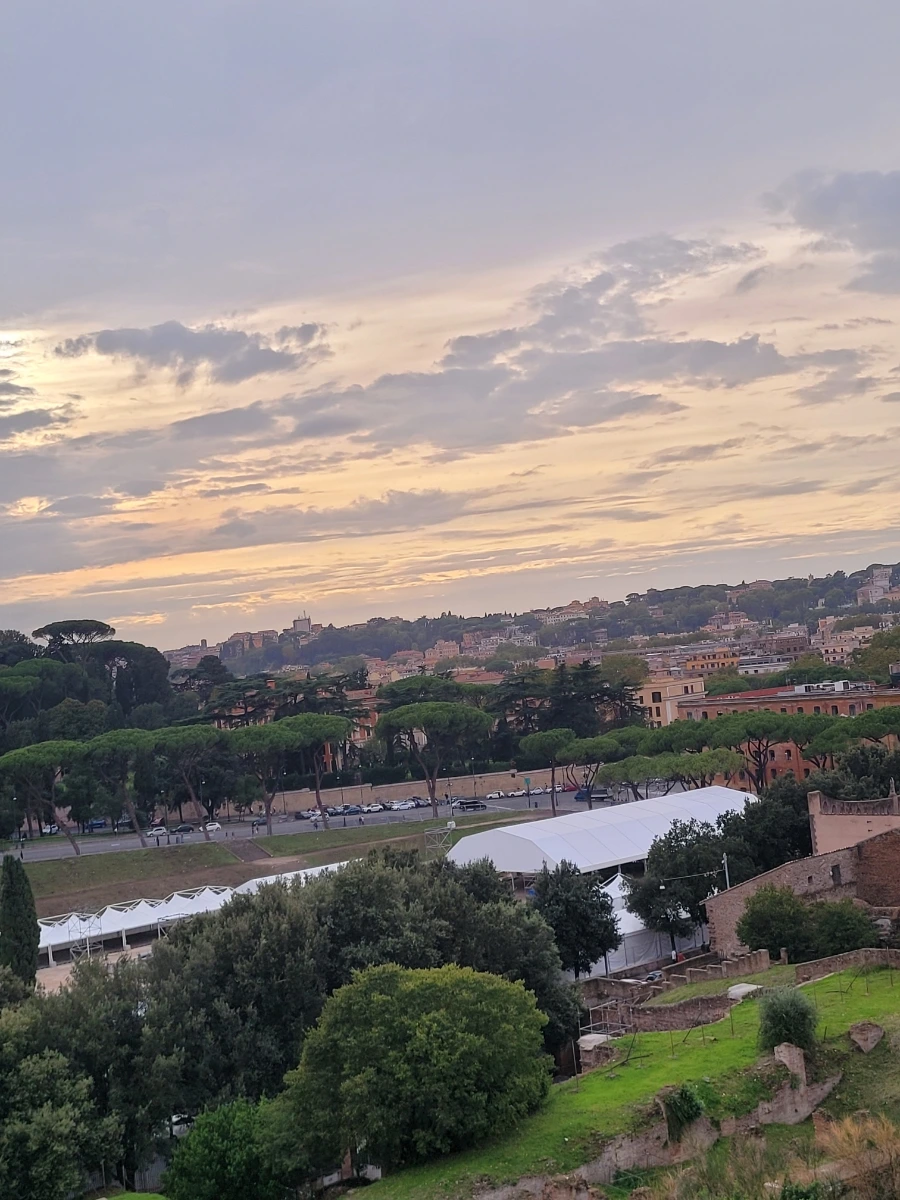 20241018%EF%BC%BF171235.jpg?type=w966