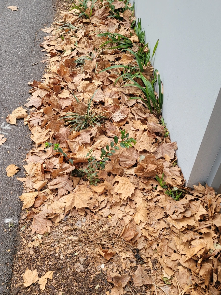 20240429%EF%BC%BF071535.jpg?type=w966