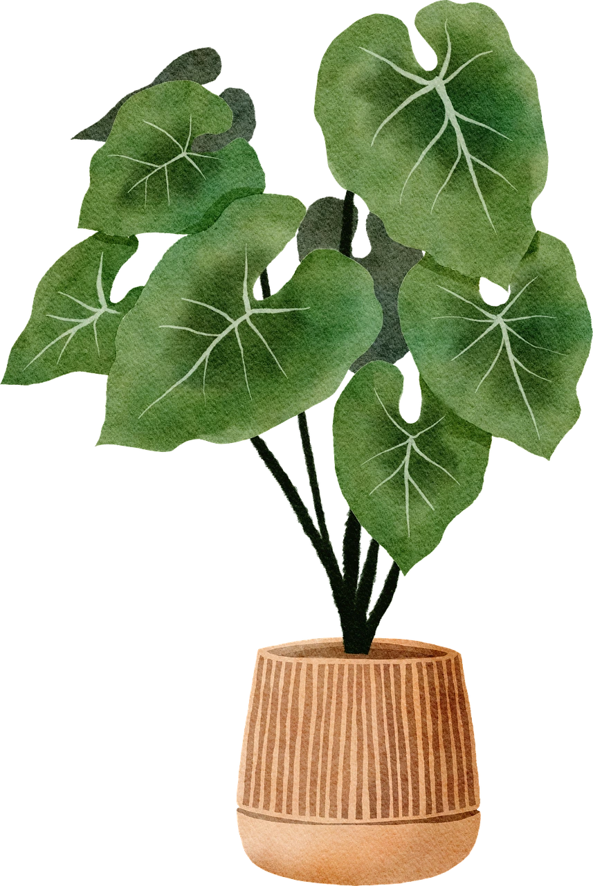 plant-7623806_1280.png?type=w966