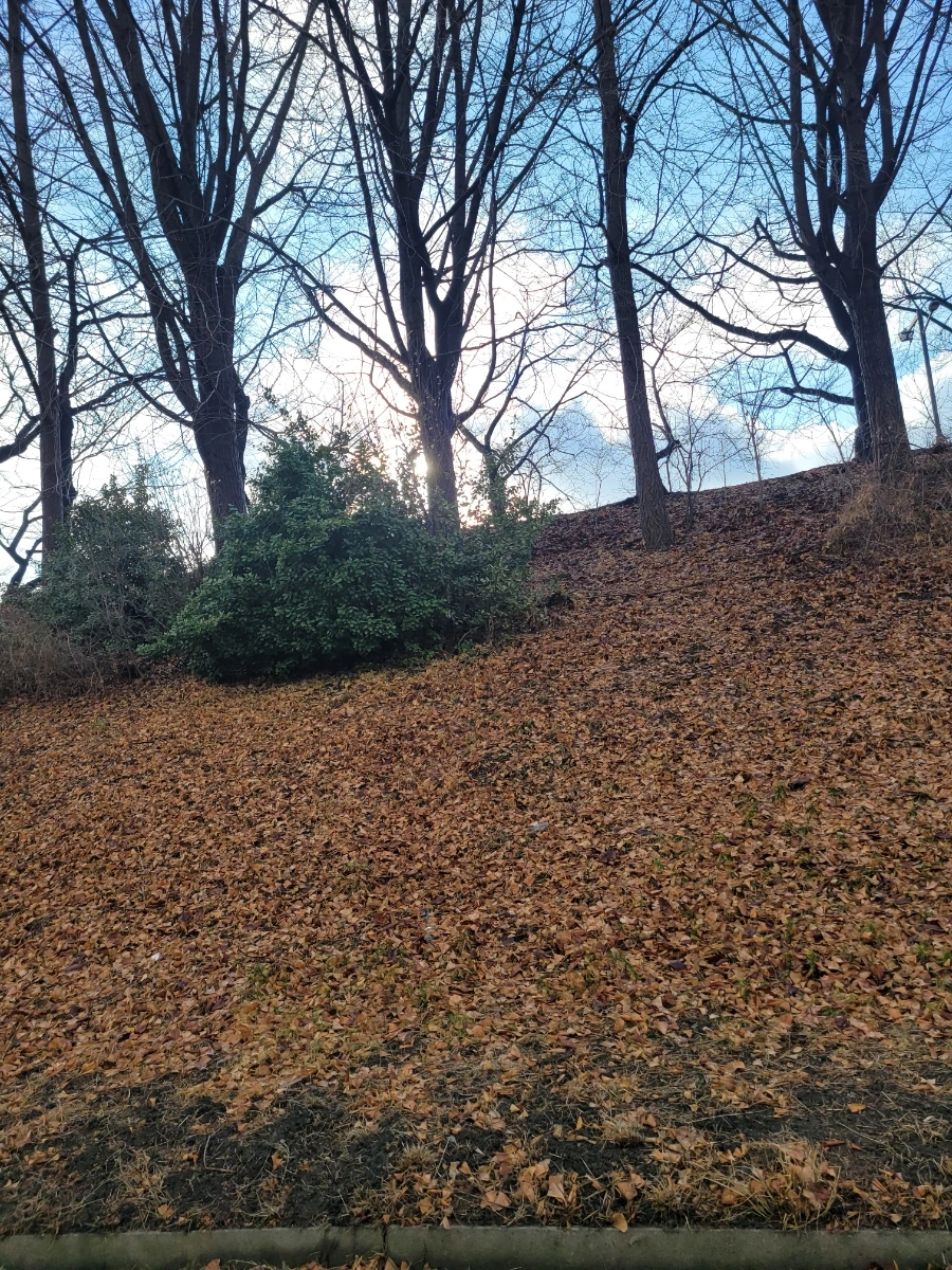 20240215%EF%BC%BF161717.jpg?type=w966