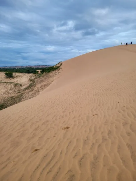 20240915%EF%BC%BF054451.jpg?type=w466