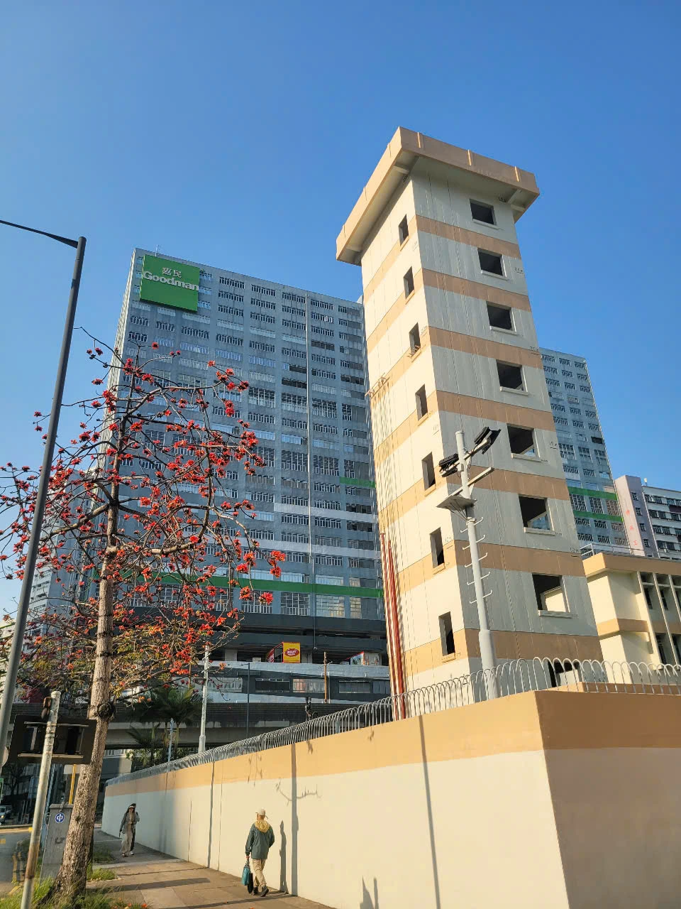 z6426901266742_9046cfa0ea8a0c2e3e18126ef8064302.jpg?type=w966