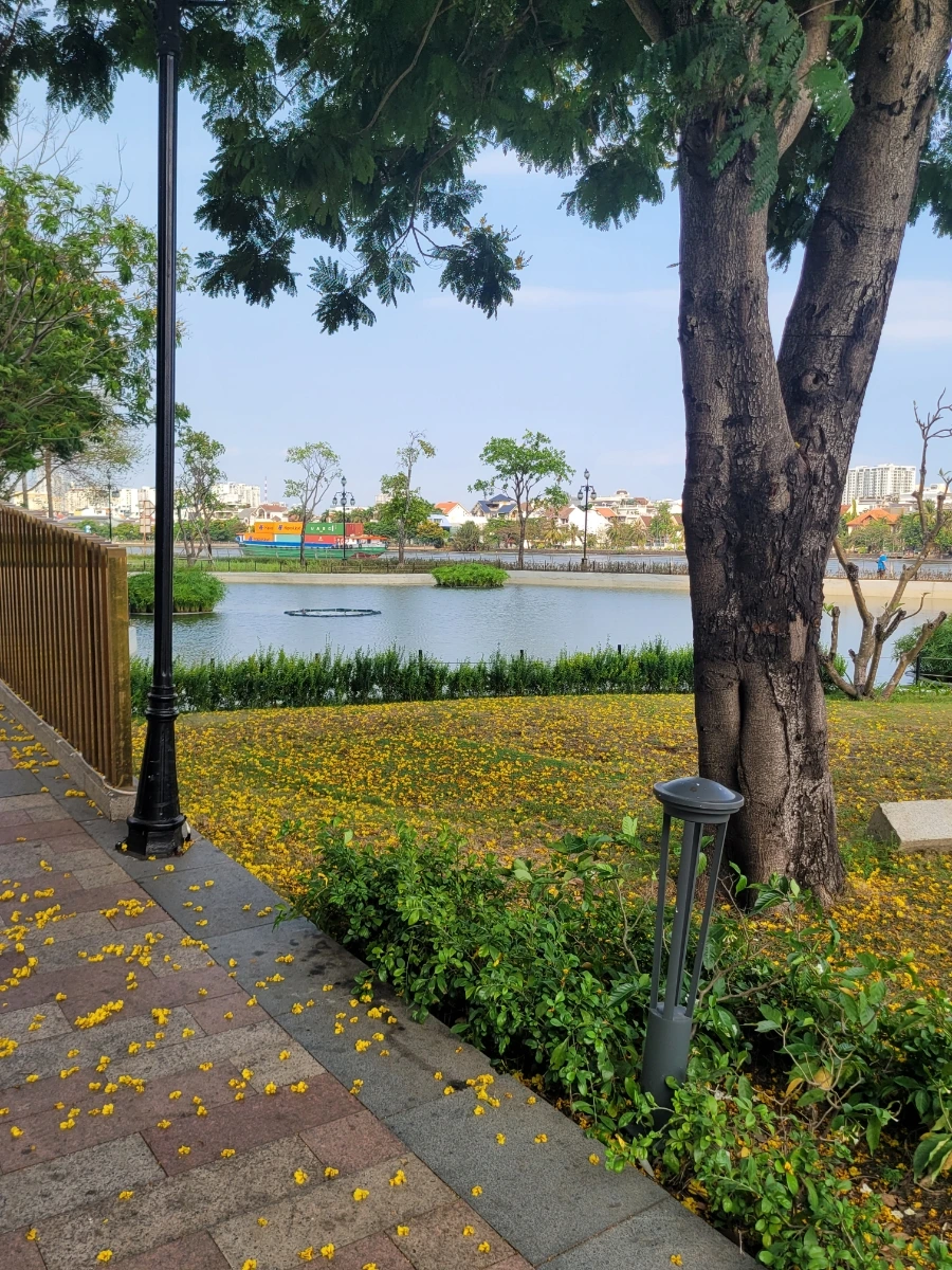 900%EF%BC%BF20250316%EF%BC%BF154438.jpg?type=w966