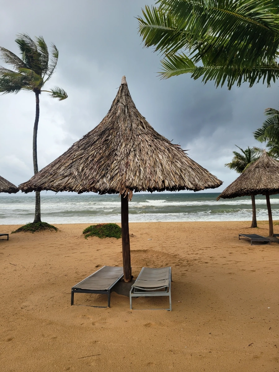 20240901%EF%BC%BF153021.jpg?type=w966