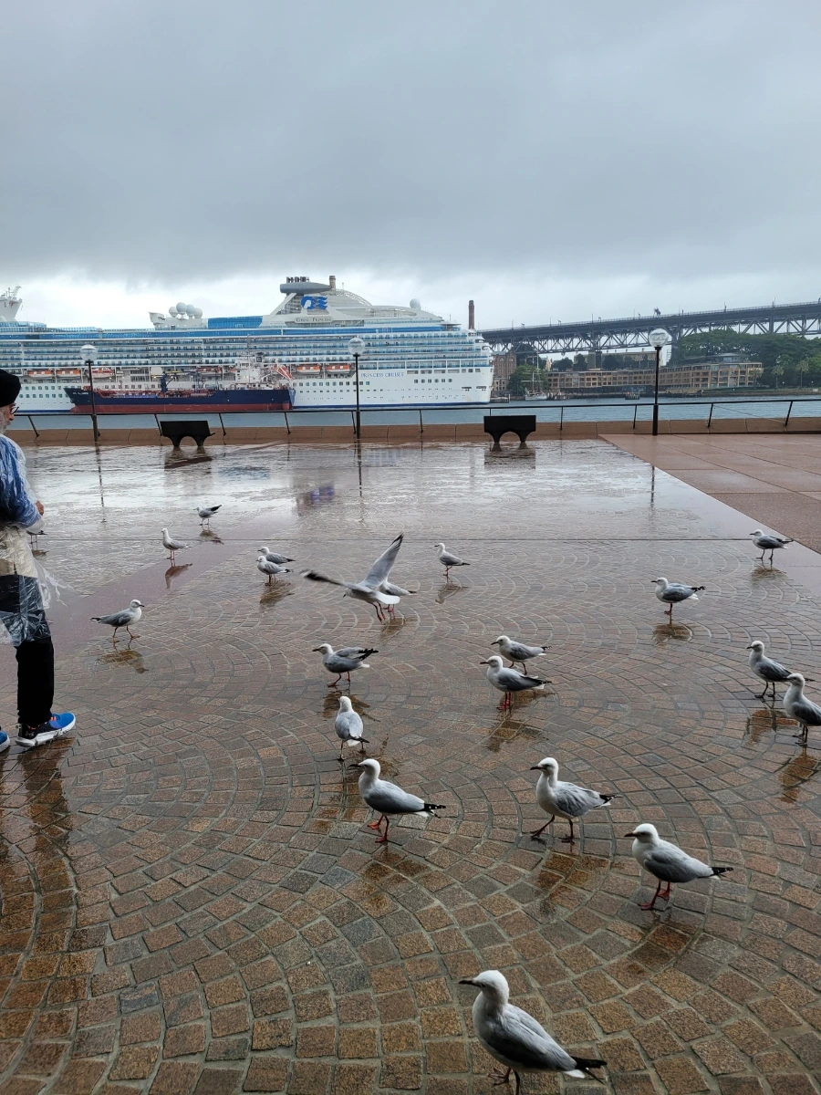 20240430%EF%BC%BF100643.jpg?type=w966