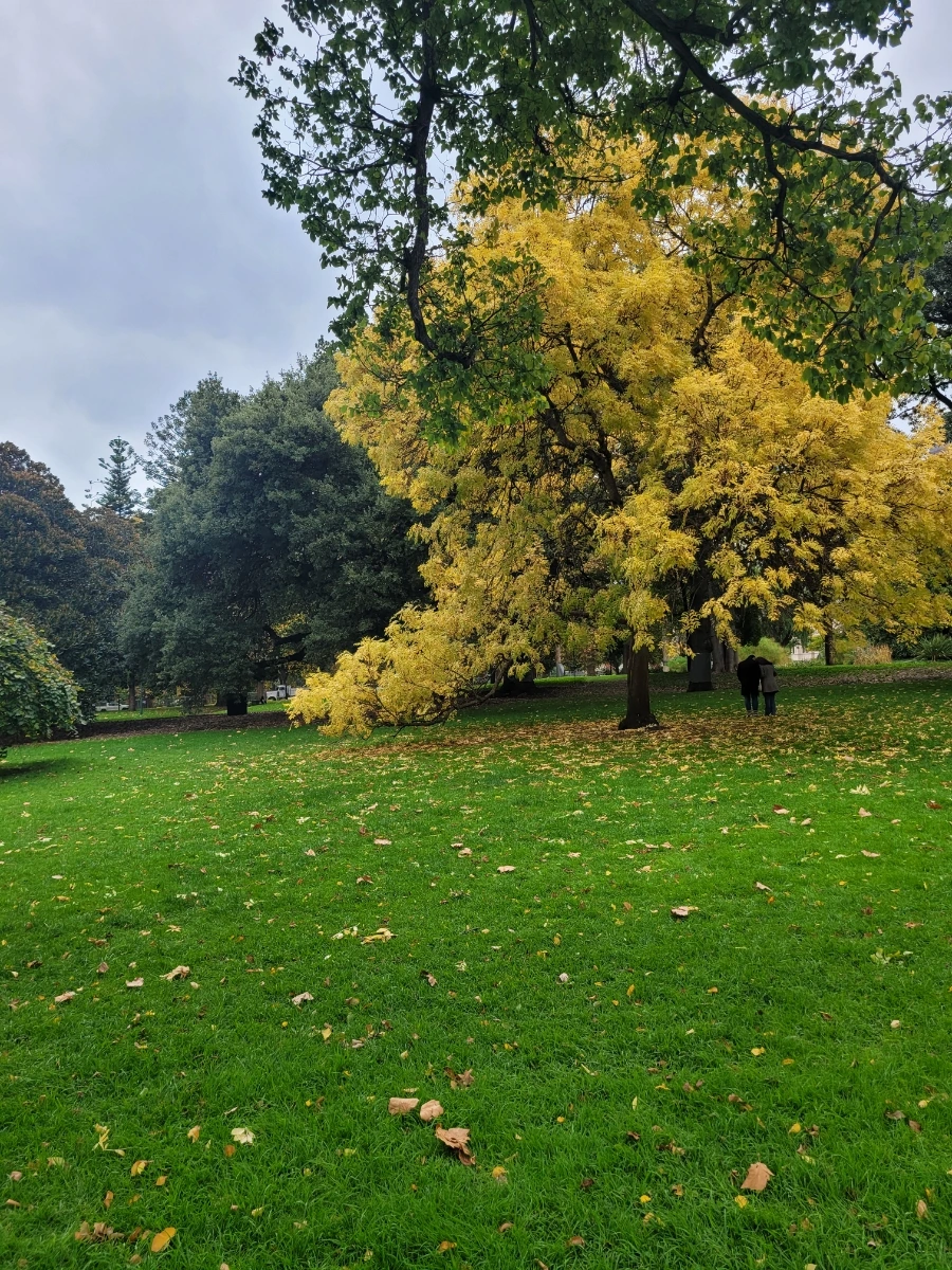 20240429%EF%BC%BF112905.jpg?type=w966