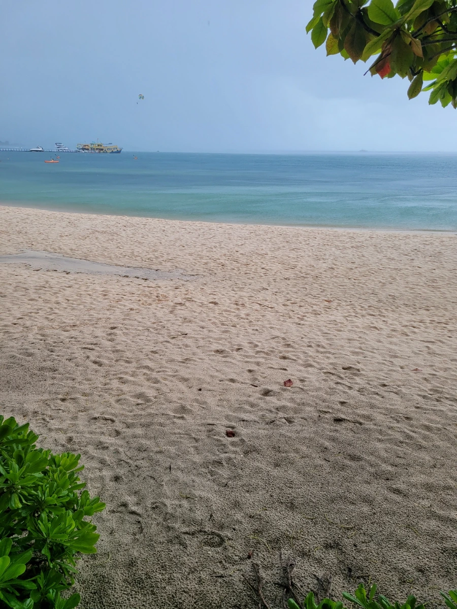 20240901%EF%BC%BF123505.jpg?type=w966