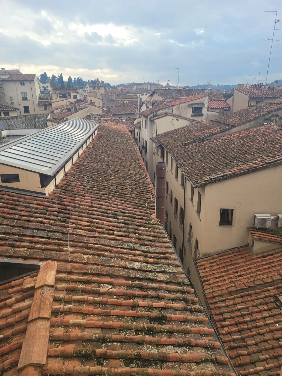 900%EF%BC%BF20241017%EF%BC%BF171210.jpg?type=w966