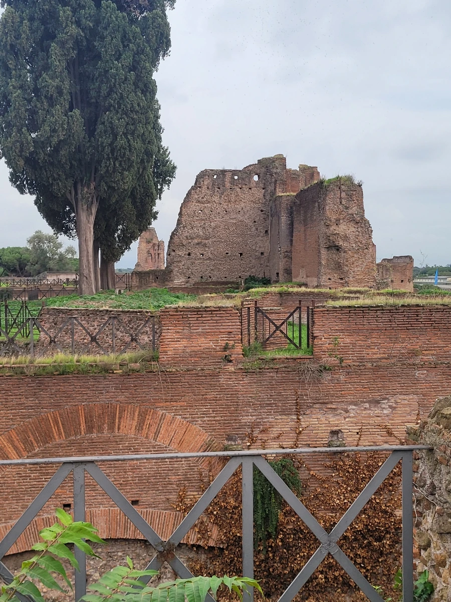 20241018%EF%BC%BF171316.jpg?type=w966