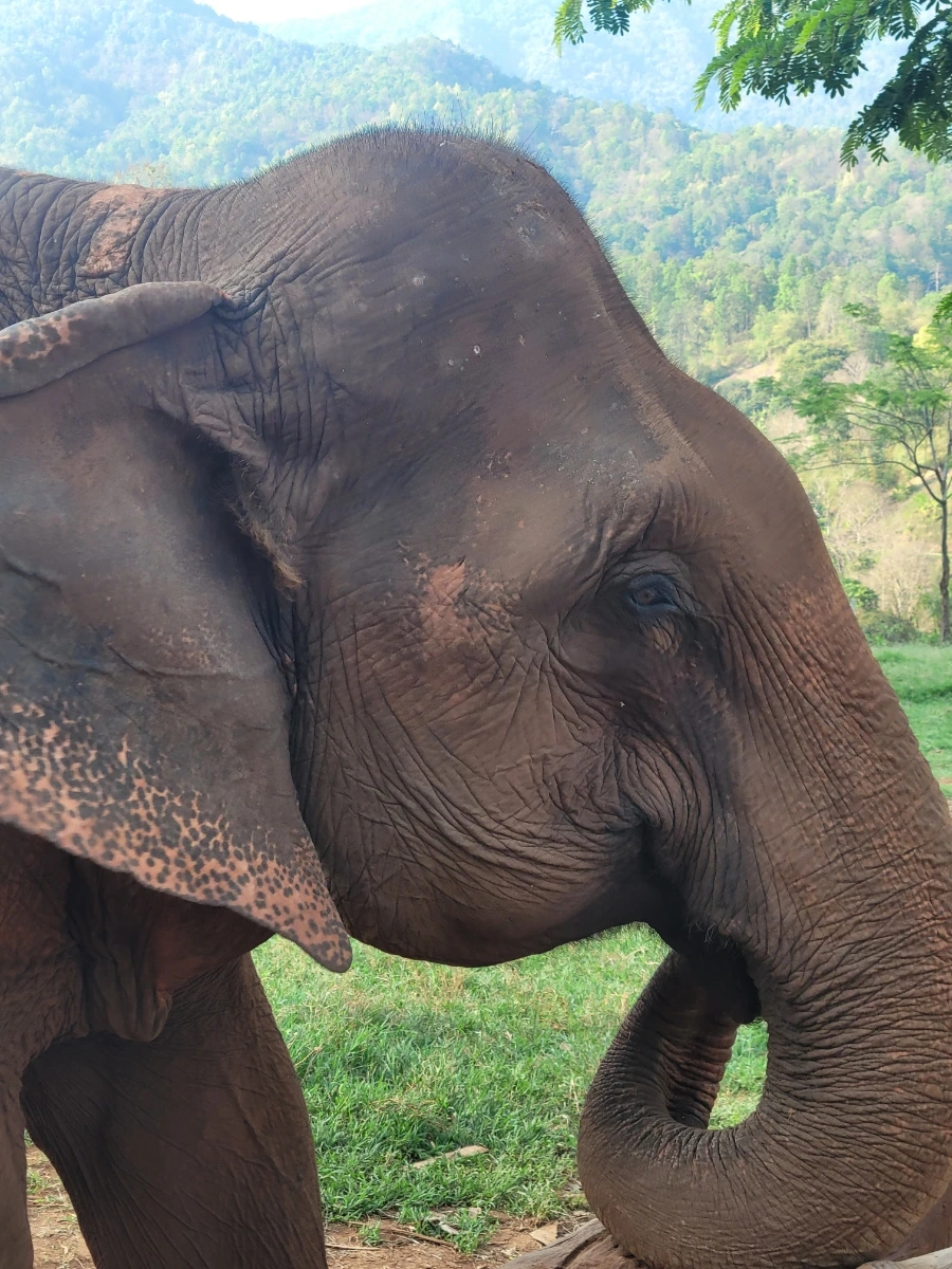 900%EF%BC%BF20250420%EF%BC%BF165708.jpg?type=w966