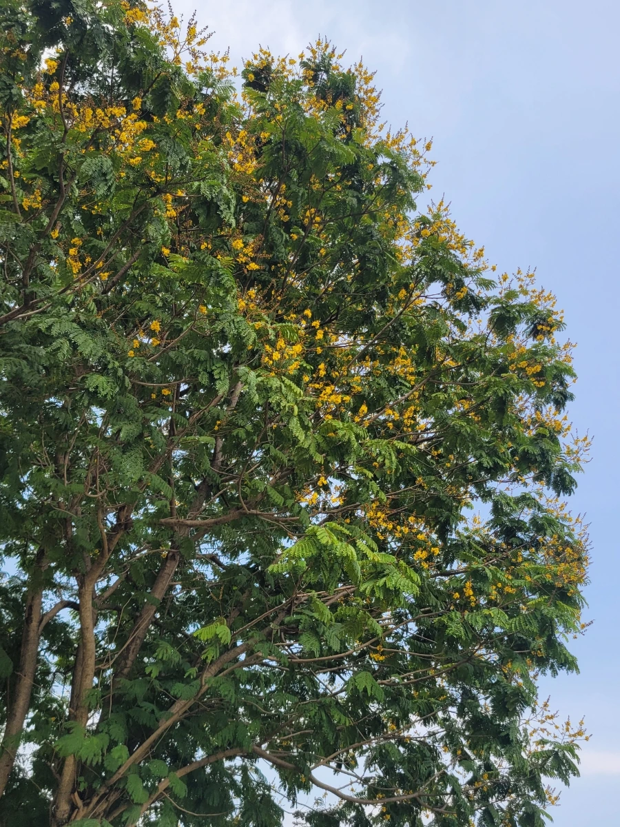 900%EF%BC%BF20250316%EF%BC%BF154527.jpg?type=w966