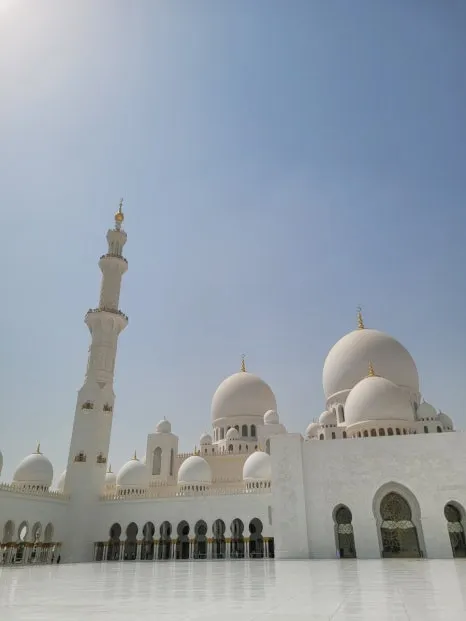 20241015%EF%BC%BF121938.jpg?type=w466