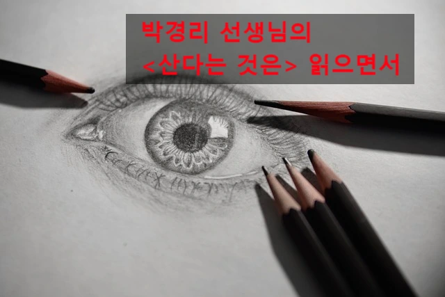 SE-682fc682-f6f1-45f2-ab69-c86a76f0eca1.jpg?type=w966