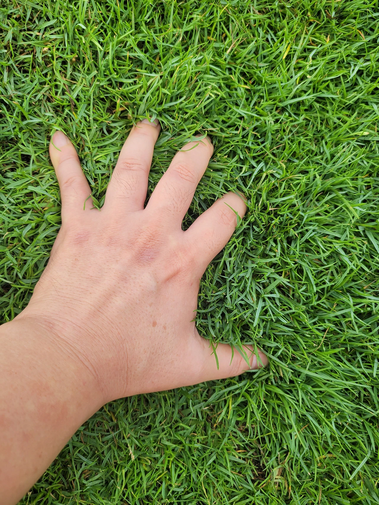 6GiYWYPn6RqmqSNHK6BGUUJus9k