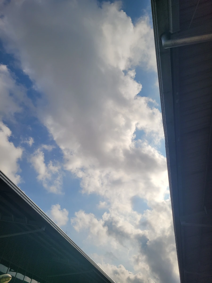 20240403%EF%BC%BF080712.jpg?type=w1