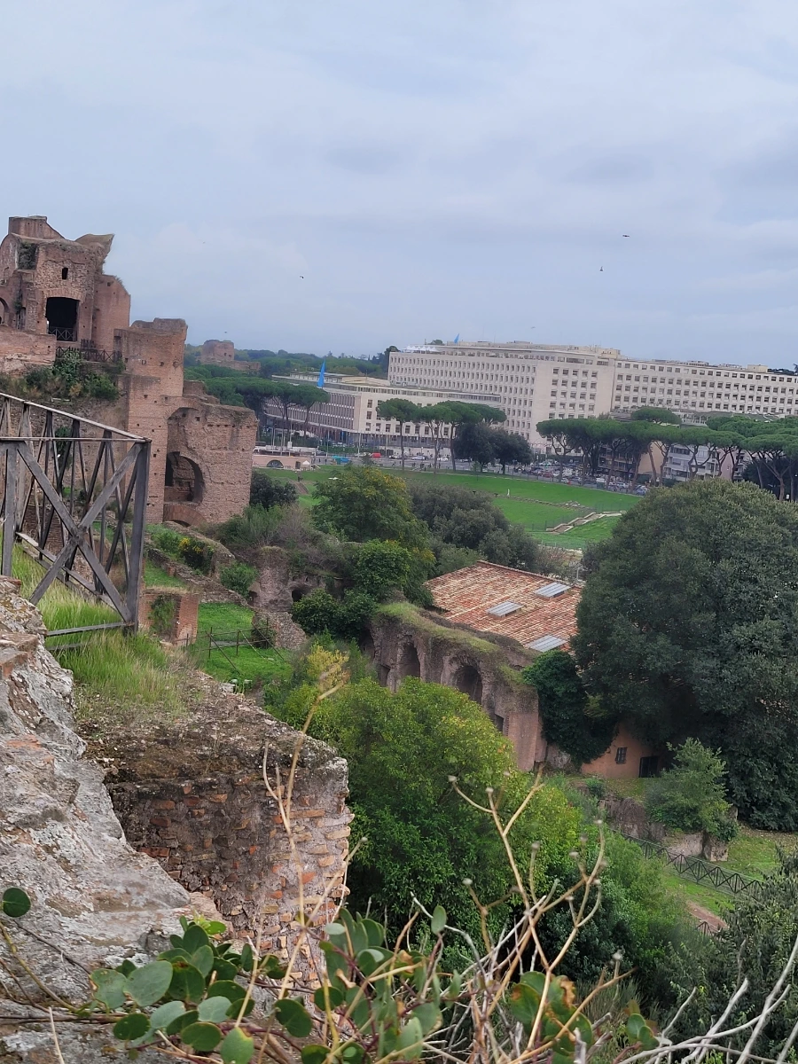 20241018%EF%BC%BF171244.jpg?type=w966