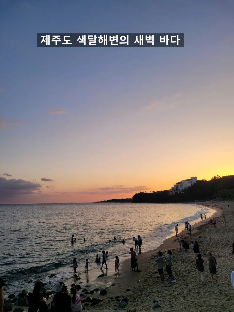 SE-e214f5a7-81a2-424c-9930-39b74523d2df.jpg?type=w966