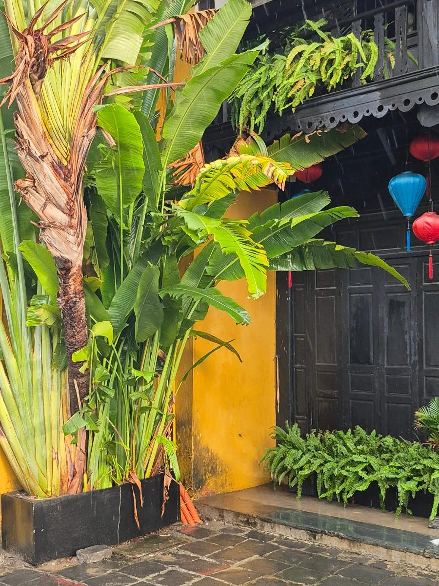 900%EF%BC%BF20250831%EF%BC%BF061623.jpg?type=w966