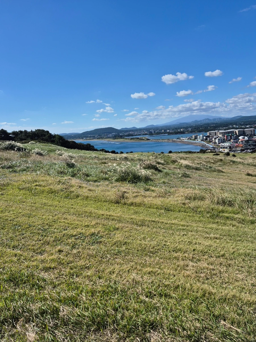 900%EF%BC%BF20251028%EF%BC%BF120523.jpg?type=w966